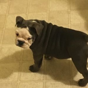 Meet your Posher, Gary